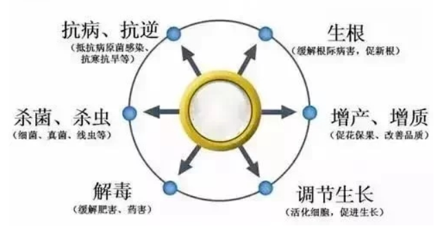 60c9b94bdfcf5.png image.png