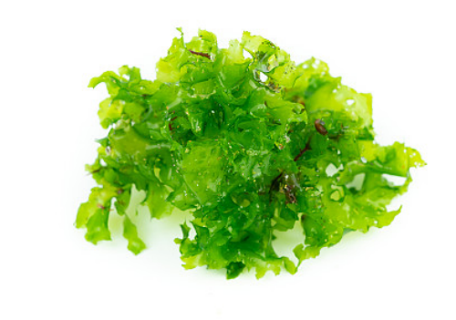 650bbef389e0c.png image.png