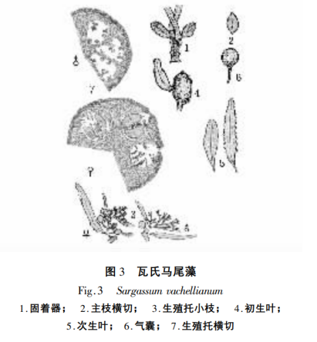 650d43b702903.png image.png