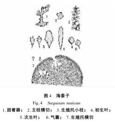 650d487c7d2e3.png image.png