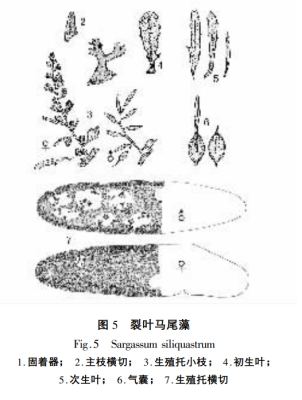 650d488f4f0c2.png image.png