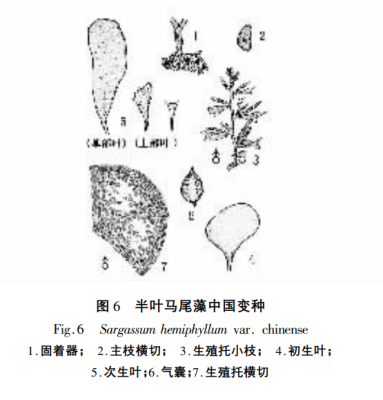 650d48cb28332.png image.png