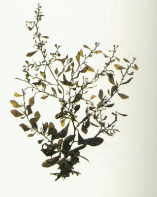 650d48f62fd8d.png image.png