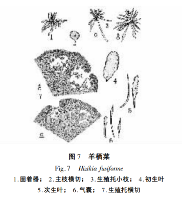 650d492ac513b.png 650d492ac513b.png