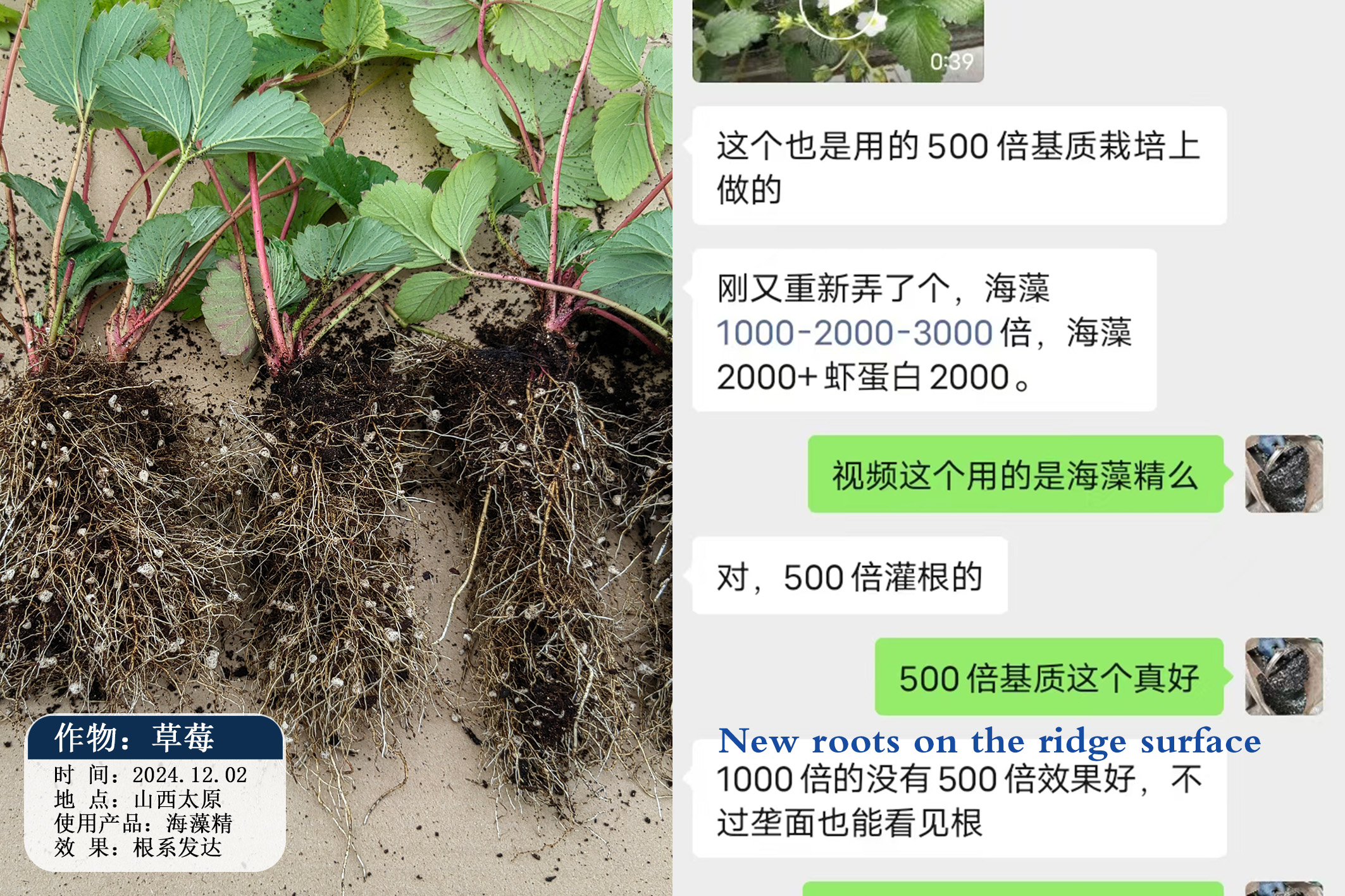 67876eb6c598b.jpg 微信圖片_20250110103006.jpg